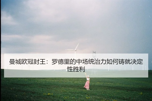 man-cheng-ou-guan-feng-wang-luo-de-li-de-zhong-chang-tong-zhi-li-ru-he-zhu-jiu-jue-ding-xing-sheng-li-3-832.jpg
