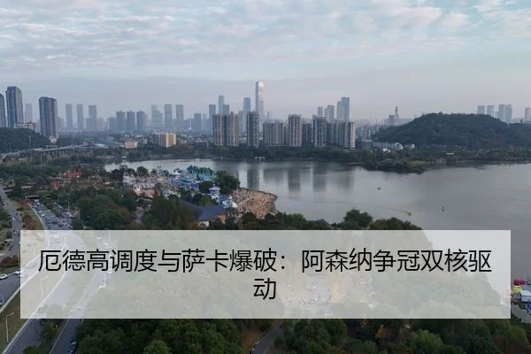 e-de-gao-diao-du-yu-sa-ka-bao-po-a-sen-na-zheng-guan-shuang-he-qu-dong-3-235.jpg