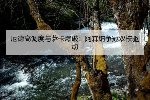 厄德高调度与萨卡爆破：阿森纳争冠双核驱动
