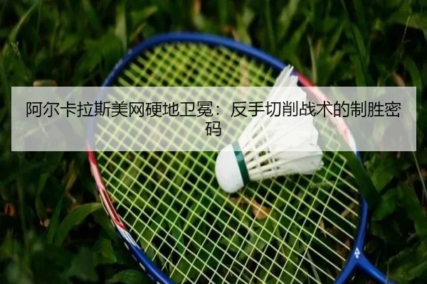 a-er-ka-la-si-mei-wang-ying-di-wei-mian-fan-shou-qie-xiao-zhan-shu-de-zhi-sheng-mi-ma-2-798.jpg